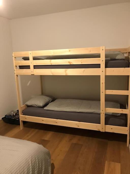 2.5 Room Apartment In Center Of Flims. Ski In/Out エクステリア 写真