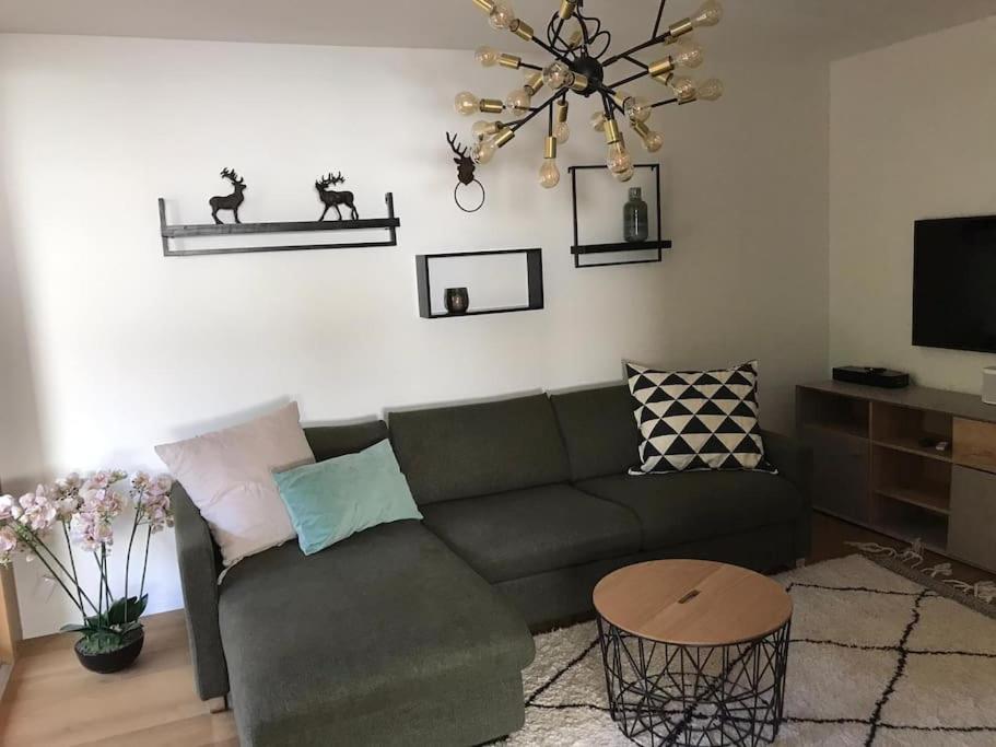 2.5 Room Apartment In Center Of Flims. Ski In/Out エクステリア 写真